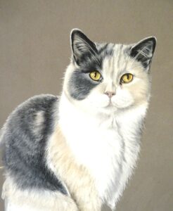 chat 2