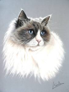 chat