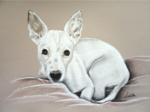 chien 2