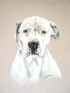 chien