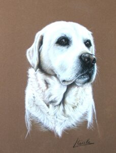 chien 5
