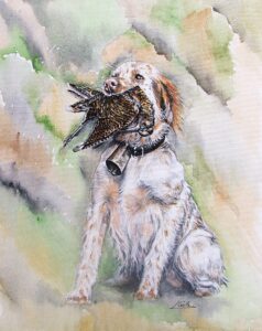 chien oiseau 4
