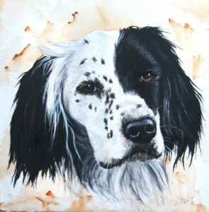 chien 4