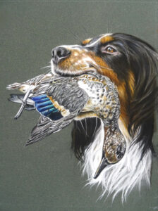 chien oiseau canard