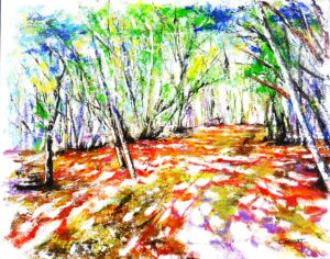 sous bois coloré